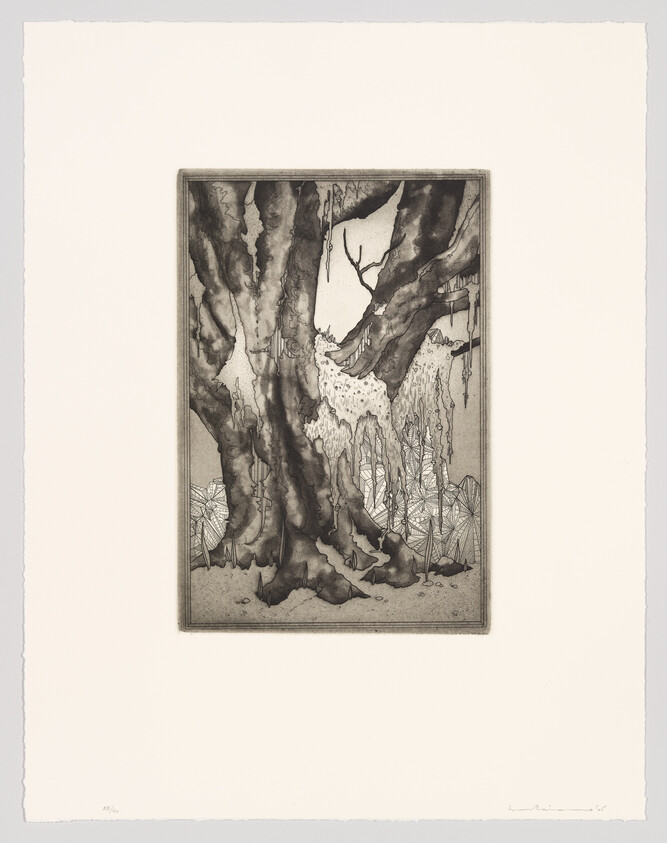 A detailed etching of a gnarled tree with a textured bark, surrounded by sparse vegetation and intricate root systems, framed against a plain background with the artist's signature at the bottom right.
