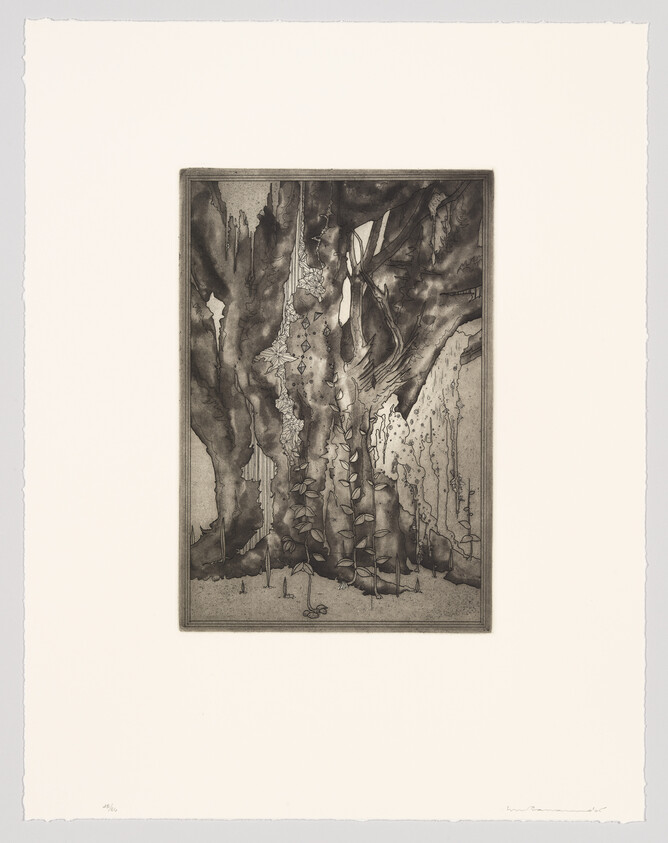 An etching with abstract forms resembling a fantastical landscape or cave-like structures, executed in a monochromatic palette, primarily in shades of black and gray. The artwork is centered on a piece of paper with ample margins, and there appears to be a signature or inscription at the bottom right corner.