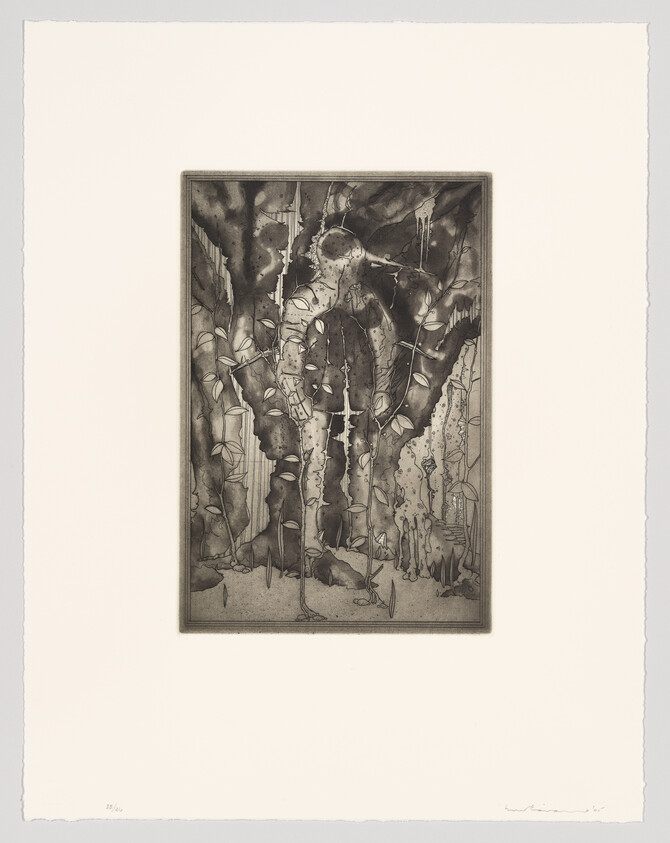 A monochromatic etching depicting a dense forest scene with tall, slender trees. The artwork is detailed, with various shades of black and gray creating depth and texture. The trees have distinctive, rough bark, and the forest floor is dotted with small plants and debris. The piece is framed within a white border, and there is a signature at the bottom right corner. The overall tone of the image is moody and evocative of a quiet, natural setting.