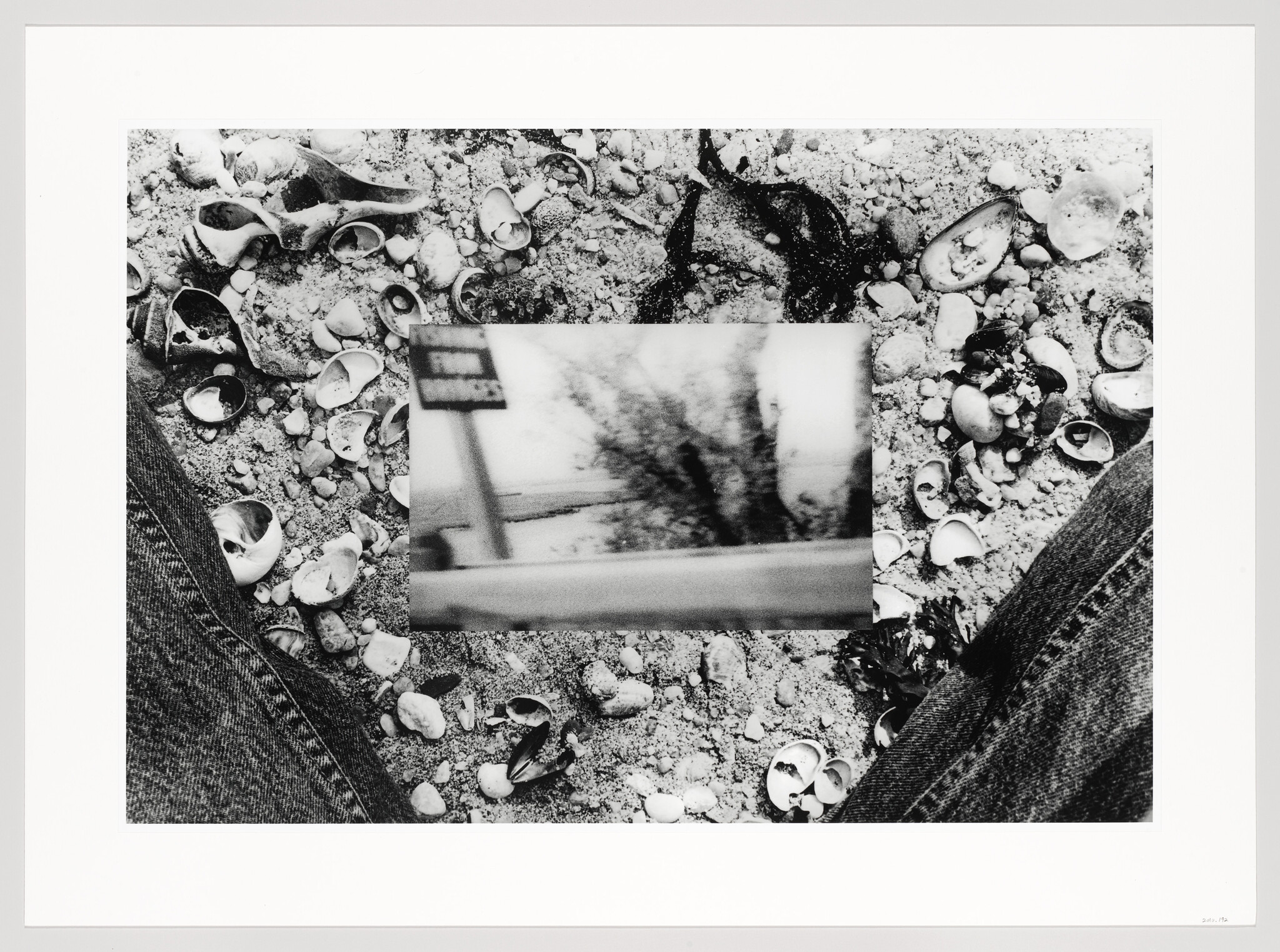 Overhead black and white photograph of scattered seashells on sandy ground with a Polaroid photo of a blurred landscape placed among them, framed by the edges of a pair of jeans.