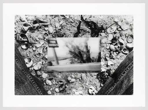 Person sitting on a shell-covered beach with a small blurred photograph placed between their legs.