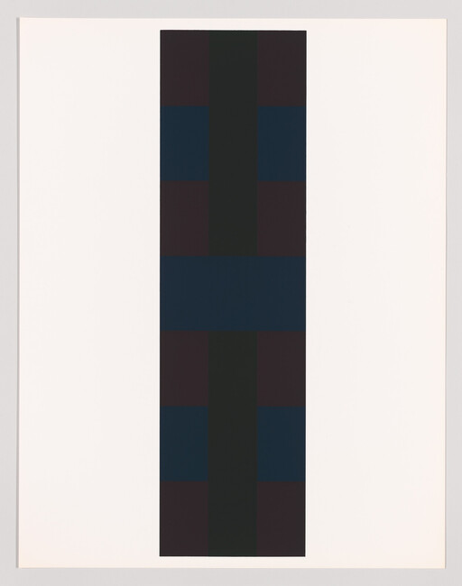A tall narrow column of dark blue and maroon rectangles runs down a white page.