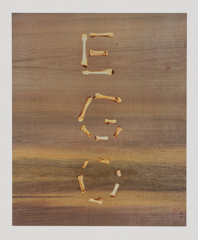 Small animal bones arranged on a wooden surface to spell the word "LEG".