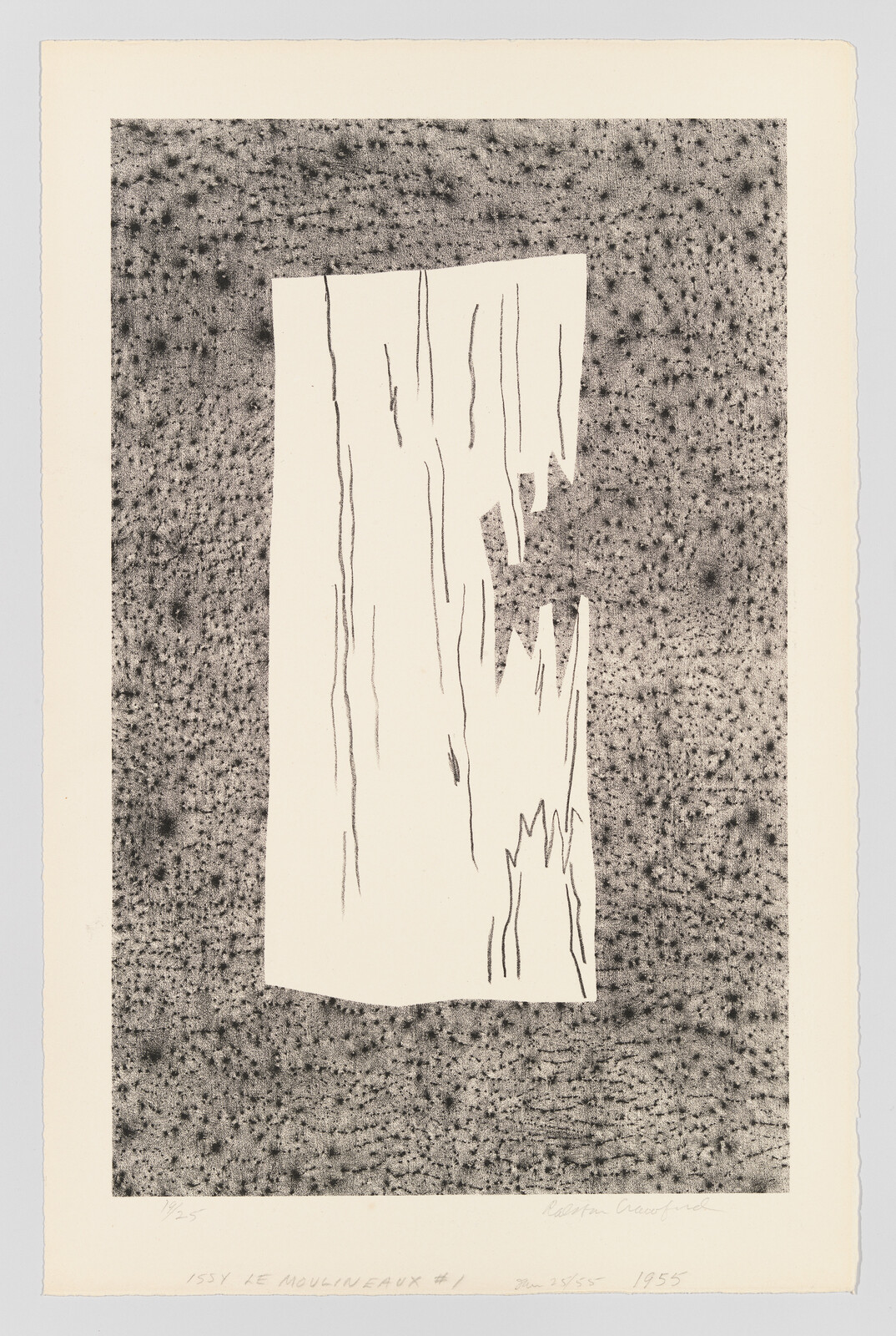 A pale torn rectangular strip with vertical marks floats on a speckled dark background.