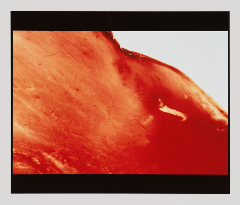 A close-up view of a red, translucent surface with smooth and uneven textures against a white background.