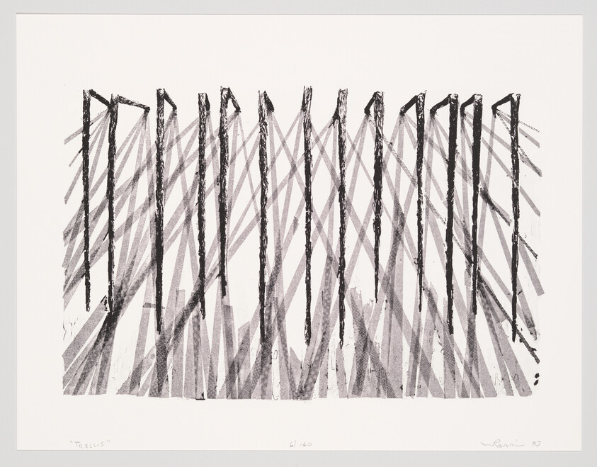 A grid of dark vertical bars with overlapping diagonal shadow lines creating a trellis-like pattern.