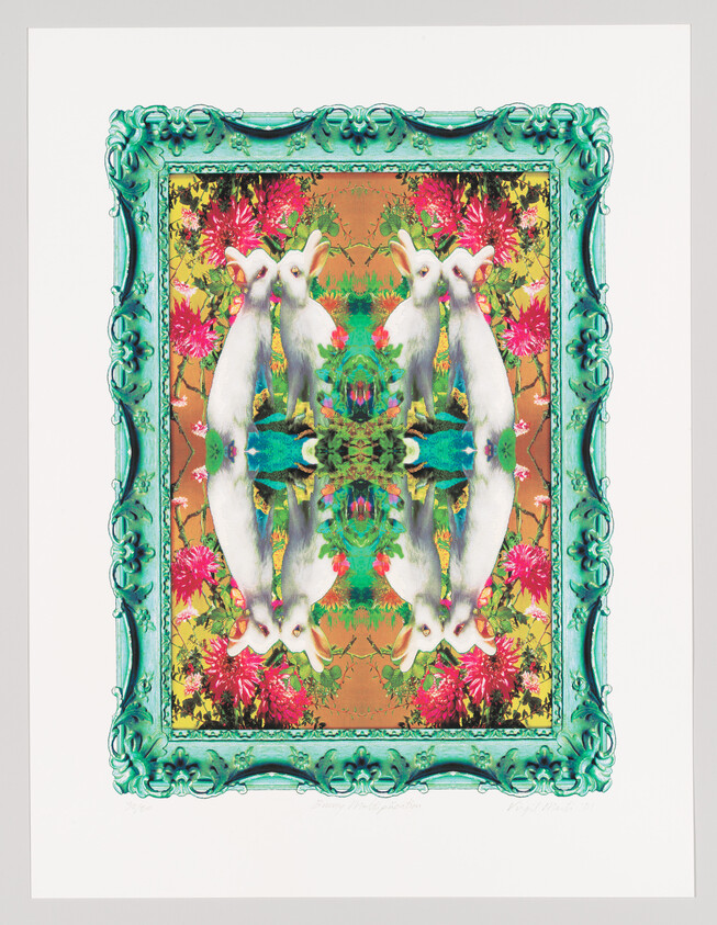 Four white rabbits mirrored inside an ornate turquoise frame surrounded by bright flowers.