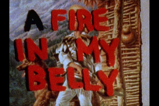 Large red words "A fire in my belly" cover a person standing in a woven basket.