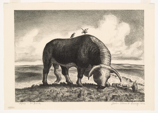 A large horned buffalo grazes on coastal grass with two birds perched on its back.
