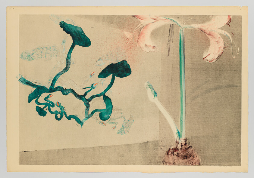 A botanical print showing a bulb with a tall stem and pink flower beside twisting green vines.