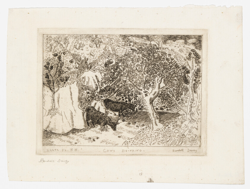 This is an etching depicting a pastoral scene with cows drinking from a stream in a wooded area. The artwork is detailed, showing various trees and foliage with dappled light and shadow. There are inscriptions at the bottom that read "SANTA FE N.M. Cows Drinking" and the artist's signature "Randall Davey." The paper appears aged with some discoloration around the edges.