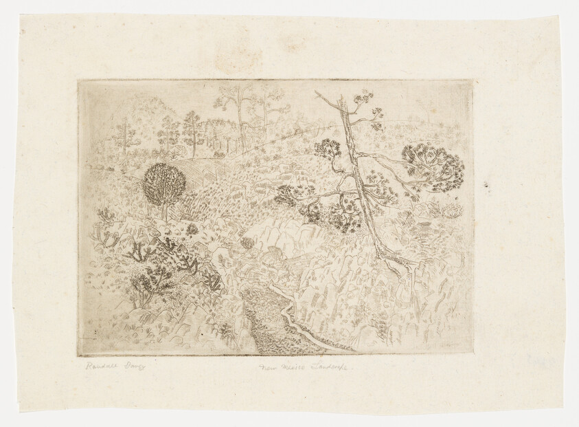 This is an etching of a pastoral landscape scene with various types of vegetation and trees. In the foreground, there's a detailed depiction of plants and shrubs, while the background features a lightly sketched area with trees and a fence. The etching has a border around it, and there are handwritten inscriptions at the bottom.