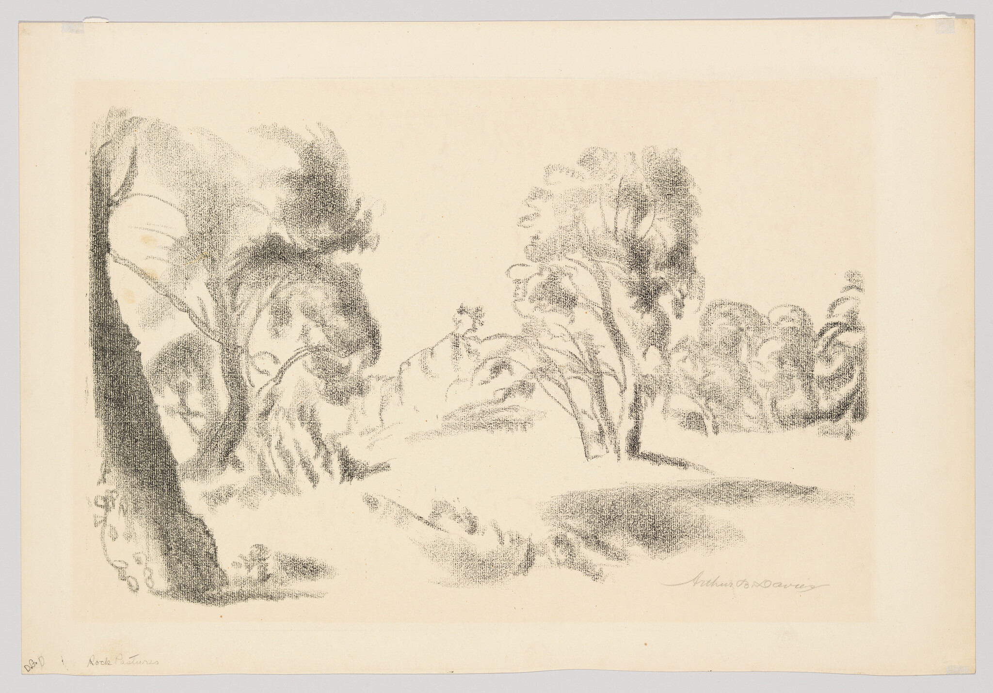 A soft charcoal landscape showing trees and gentle rolling hills with light shading.