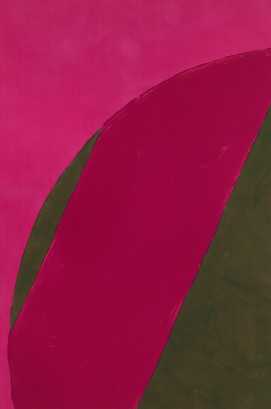 Two large curved shapes in deep magenta and olive green fill the composition.