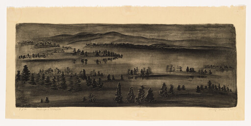 Wide charcoal landscape showing rolling hills, scattered pine trees, and low morning mist across fields.