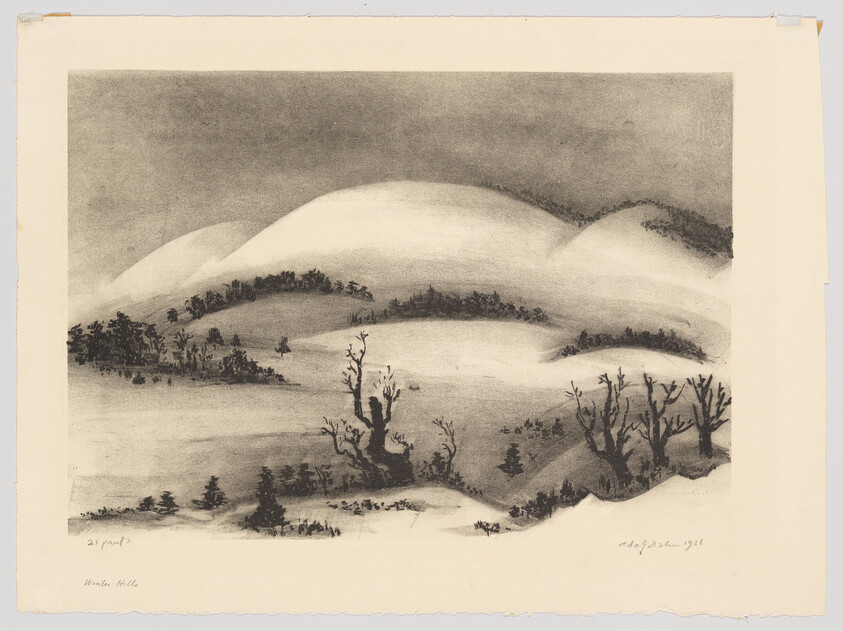 Snow-covered rolling hills with leafless trees and low fog in a quiet winter landscape.