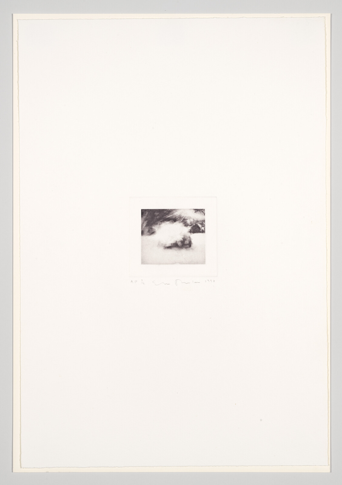A small, centered black and white photograph mounted on a large white paper. The photo depicts a blurry image that could be interpreted as a natural scene or abstract form. Below the photo, handwritten text reads "AP 2" followed by a signature and the year "1990."