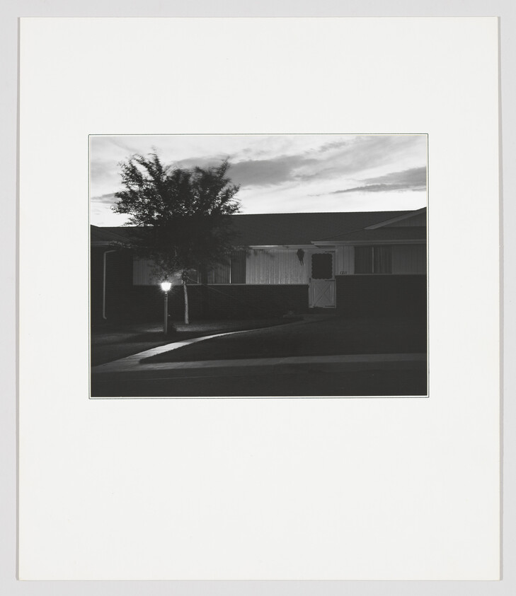 A single-story house at dusk with a lit streetlamp and a tree in the front yard.