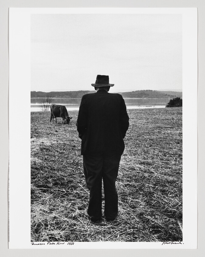 An older man in a hat stands facing a river while a cow grazes nearby.