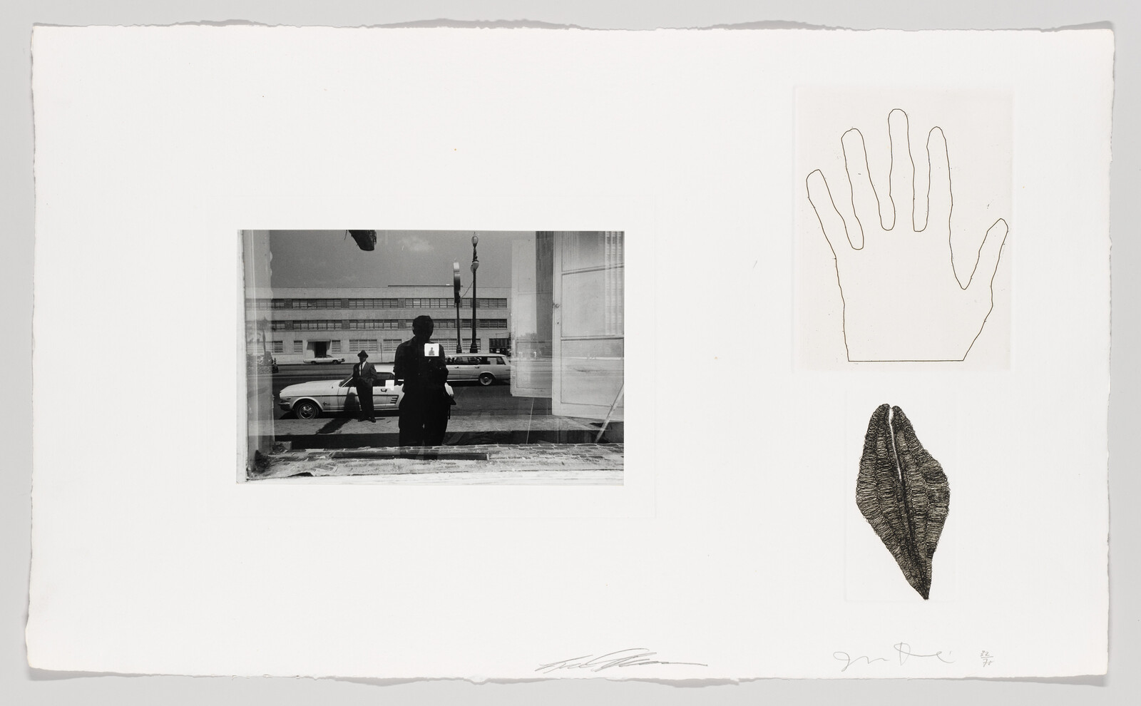 A black-and-white reflection of a person in a storefront window with hand and leaf sketches.
