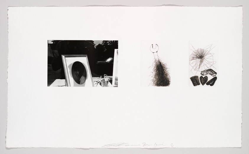 Three small black-and-white panels show a framed portrait, a wrench over a hairy mound, and abstract shapes.