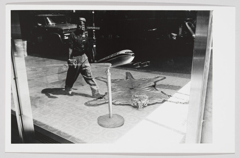 Black and white photograph showing the reflection of a man walking past a storefront window, with a model airplane and a tiger skin rug visible inside the display area. The scene includes a glimpse of a parked car and urban surroundings reflected in the glass.