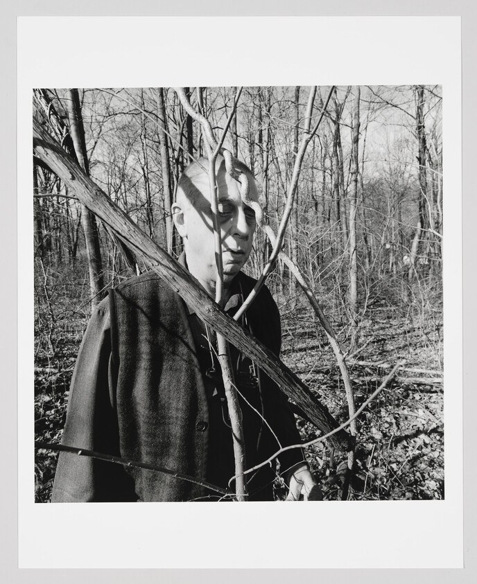 A person stands among bare trees with branches crossing their face and jacket.