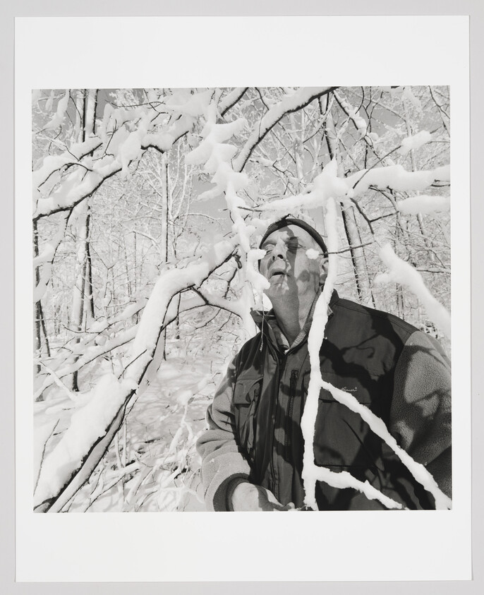 A man wearing a jacket and hat stands under snow-covered tree branches, looking upward.