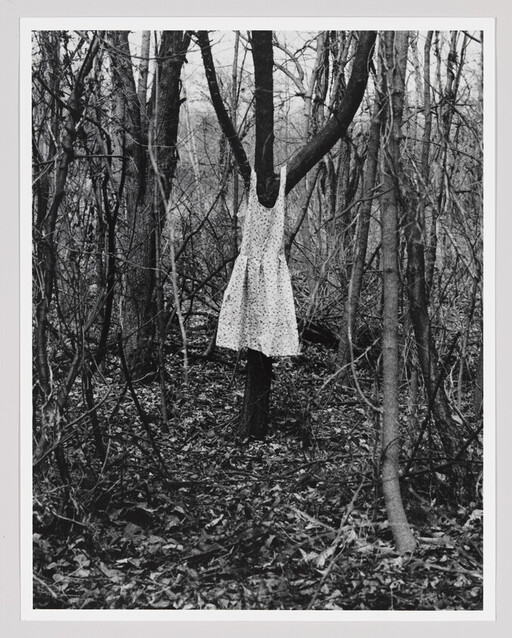 A floral dress hangs on forked tree branches in a leaf-strewn forest.