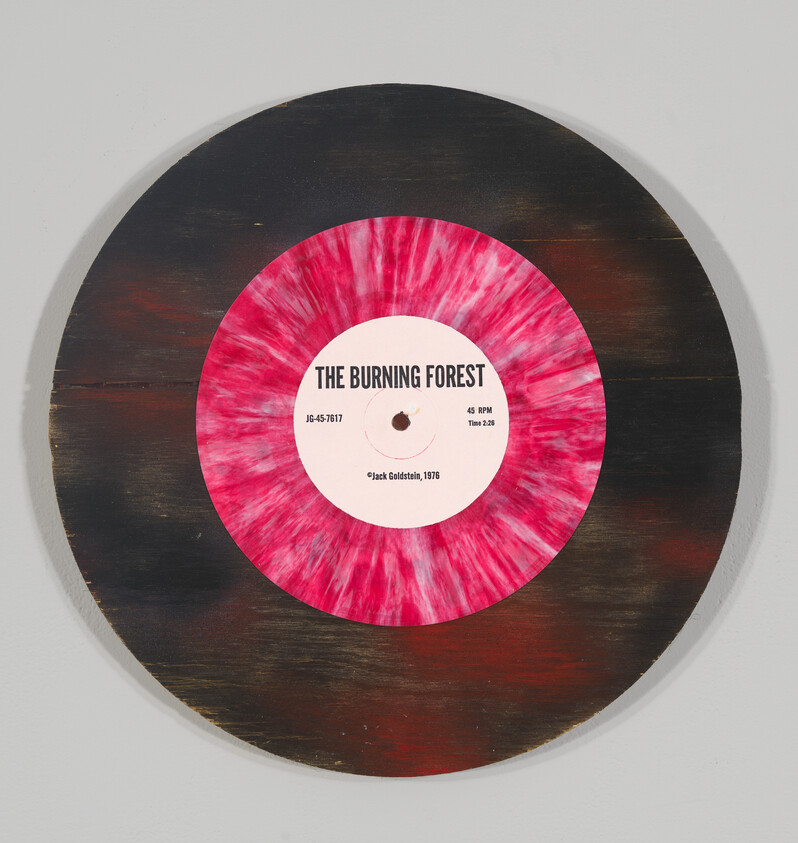 A circular artwork resembling a vinyl record with a pink marbled label that reads The Burning Forest.