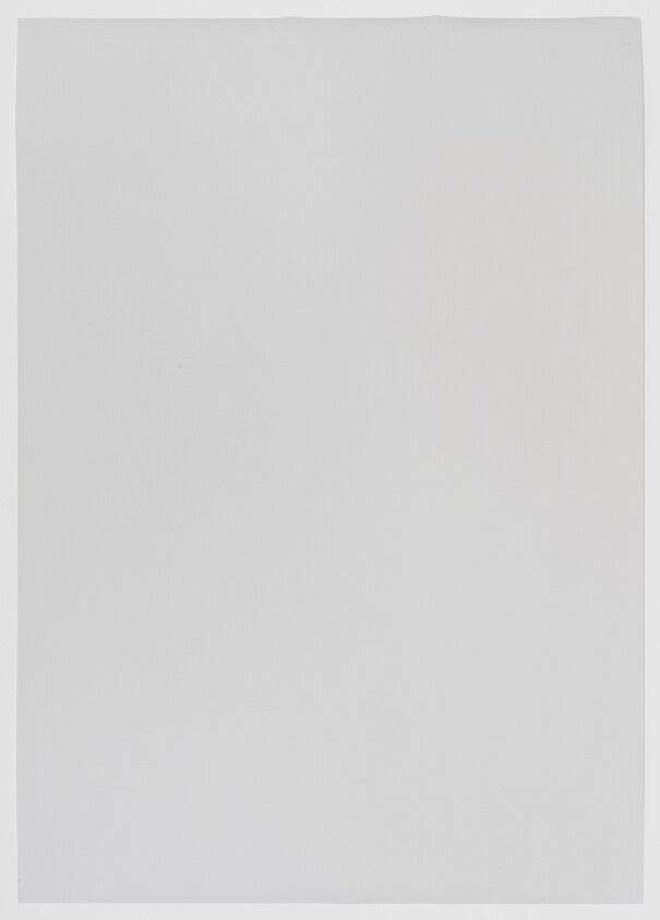 A blank white sheet of paper with slightly uneven edges on a neutral background.