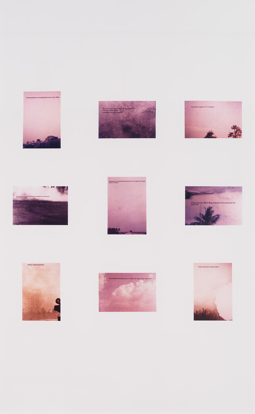 Nine small pink-toned landscape photographs arranged in a three-by-three grid on a white background.