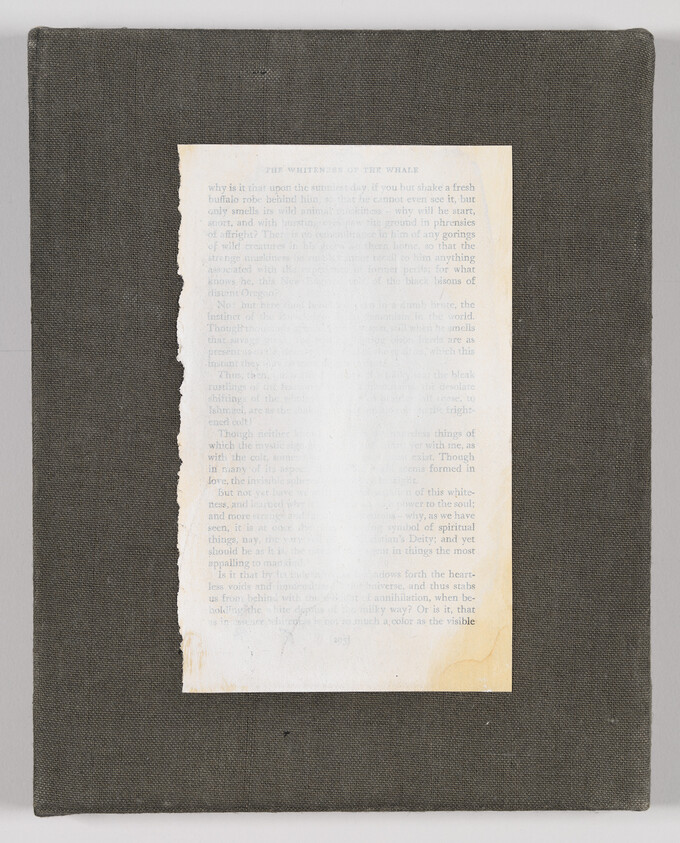 A worn page from a book with torn edges pinned onto a fabric-covered board.