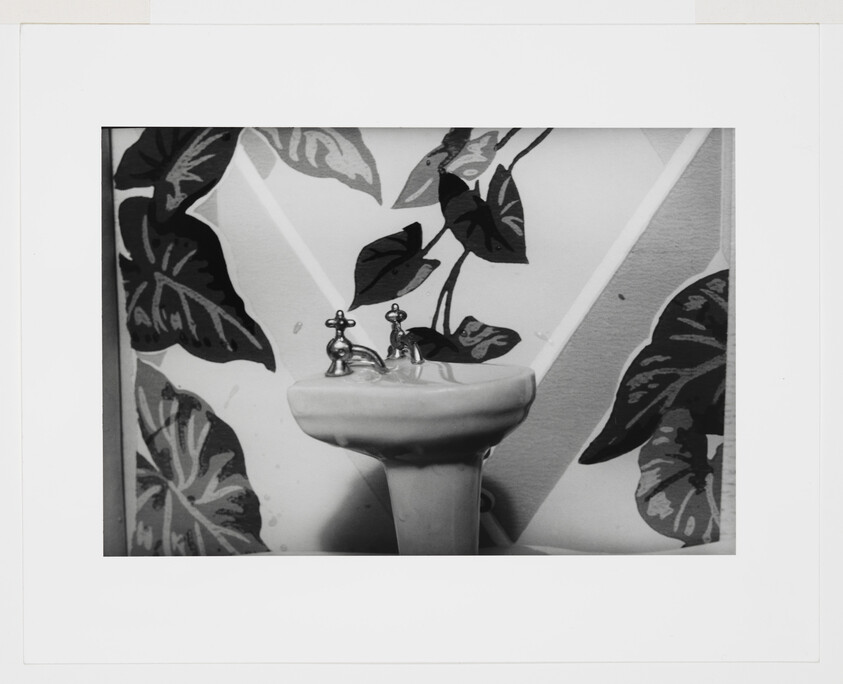 A small pedestal sink with two vintage taps stands against a wall painted with large leaves.