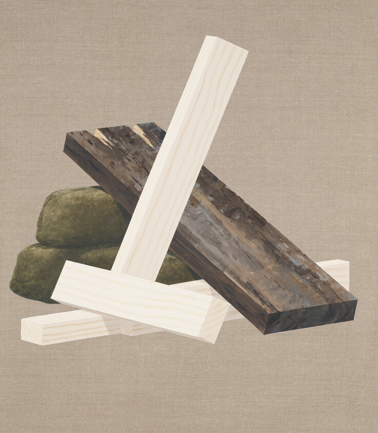 Several light and dark wooden planks lean against a small stack of green mossy stones.