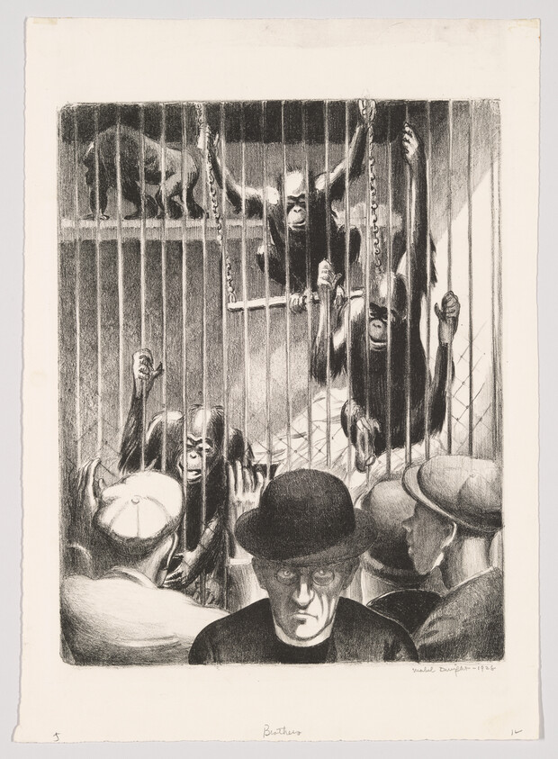 Men in hats watch chimpanzees clinging to and climbing inside a barred cage.