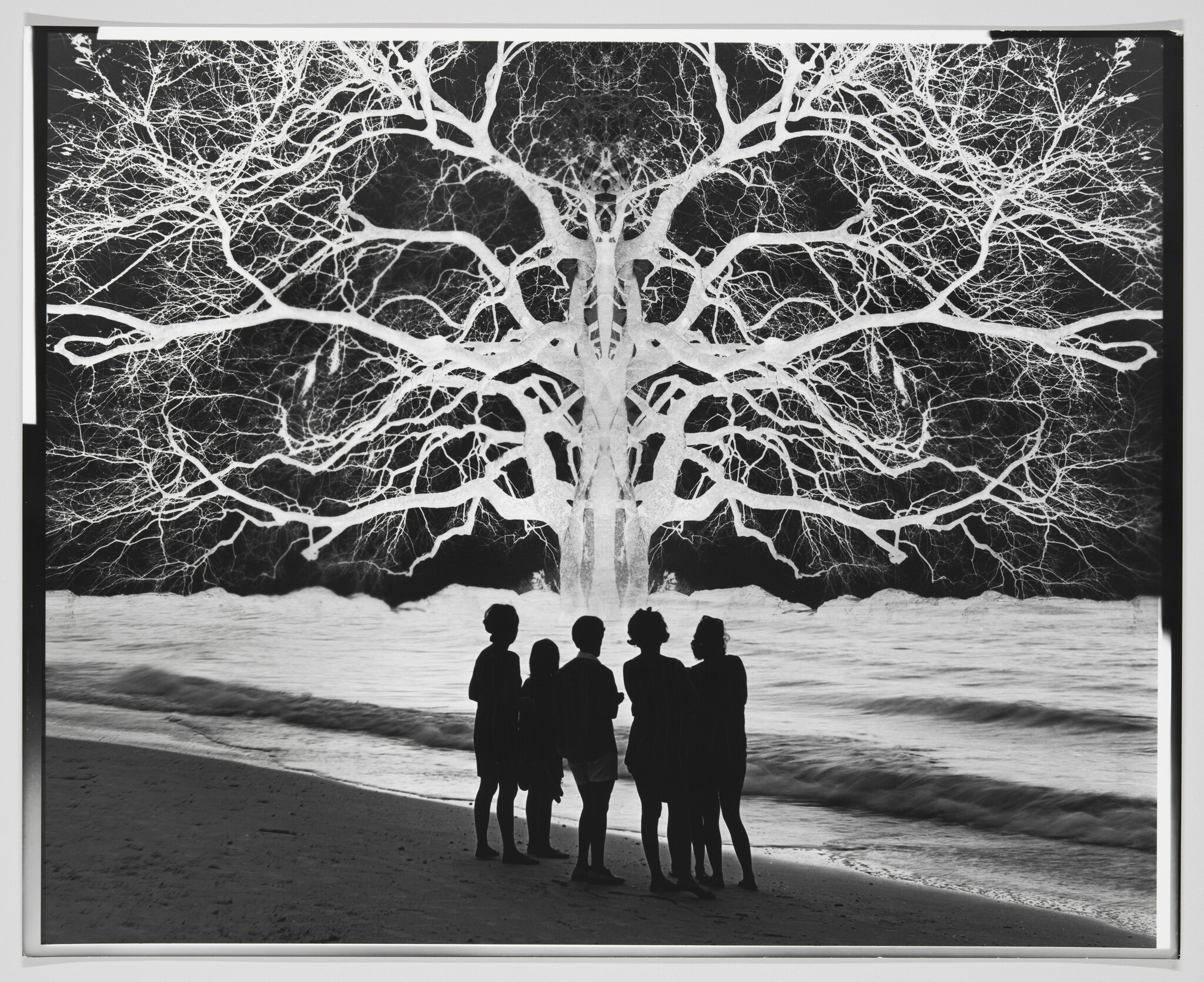 Six silhouetted people stand on a beach looking at a glowing, sprawling tree above the water.