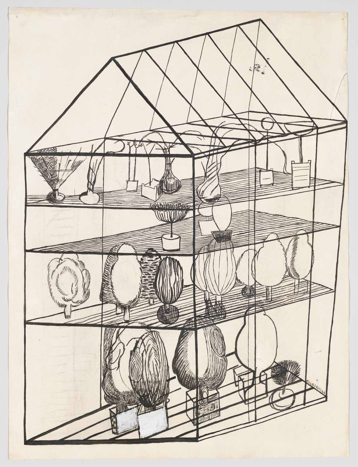 A hand-drawn glass greenhouse with shelves full of varied potted plants and bulbs.