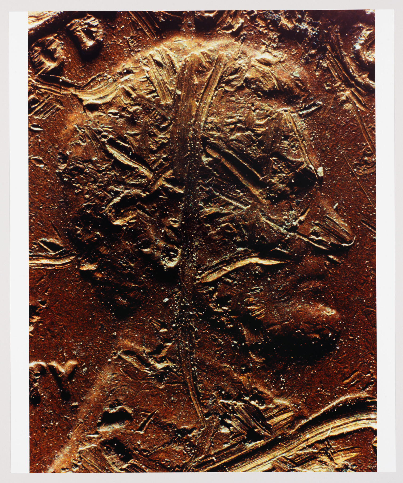 Close-up of a fossilized fish embedded in sedimentary rock, showcasing fine details and textures that indicate the preservation of skeletal structure and fins.