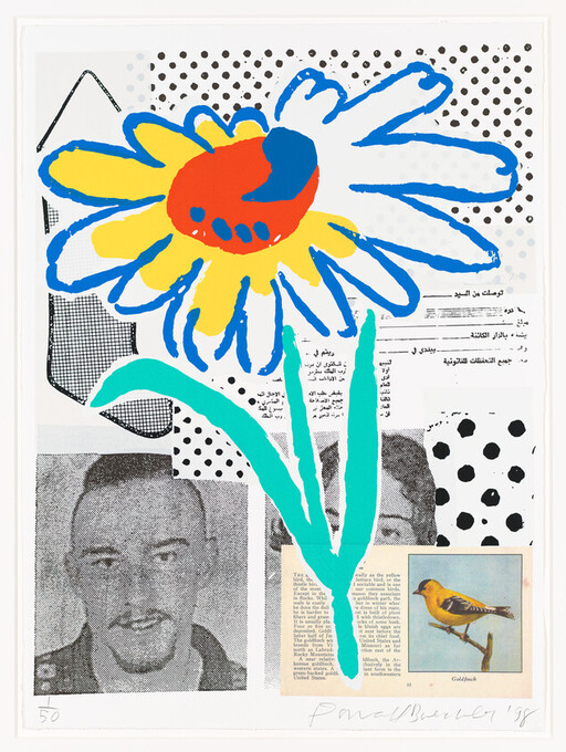 A large colorful daisy painted over a collage of black-and-white photos, text, and a small bird illustration.