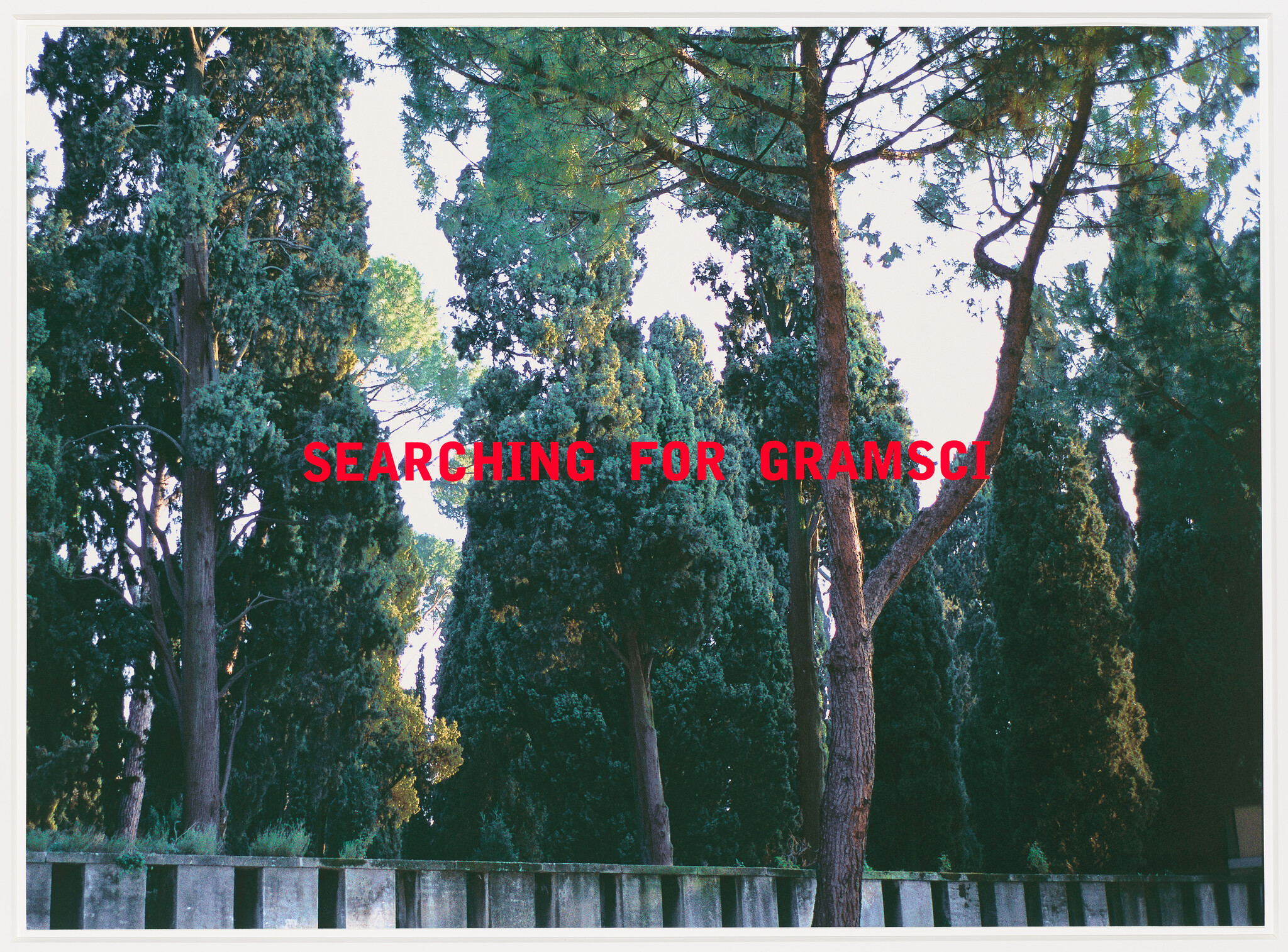 Photograph of tall, dense trees with the text "SEARCHING FOR GRAMSCI" in red capital letters superimposed over the image.