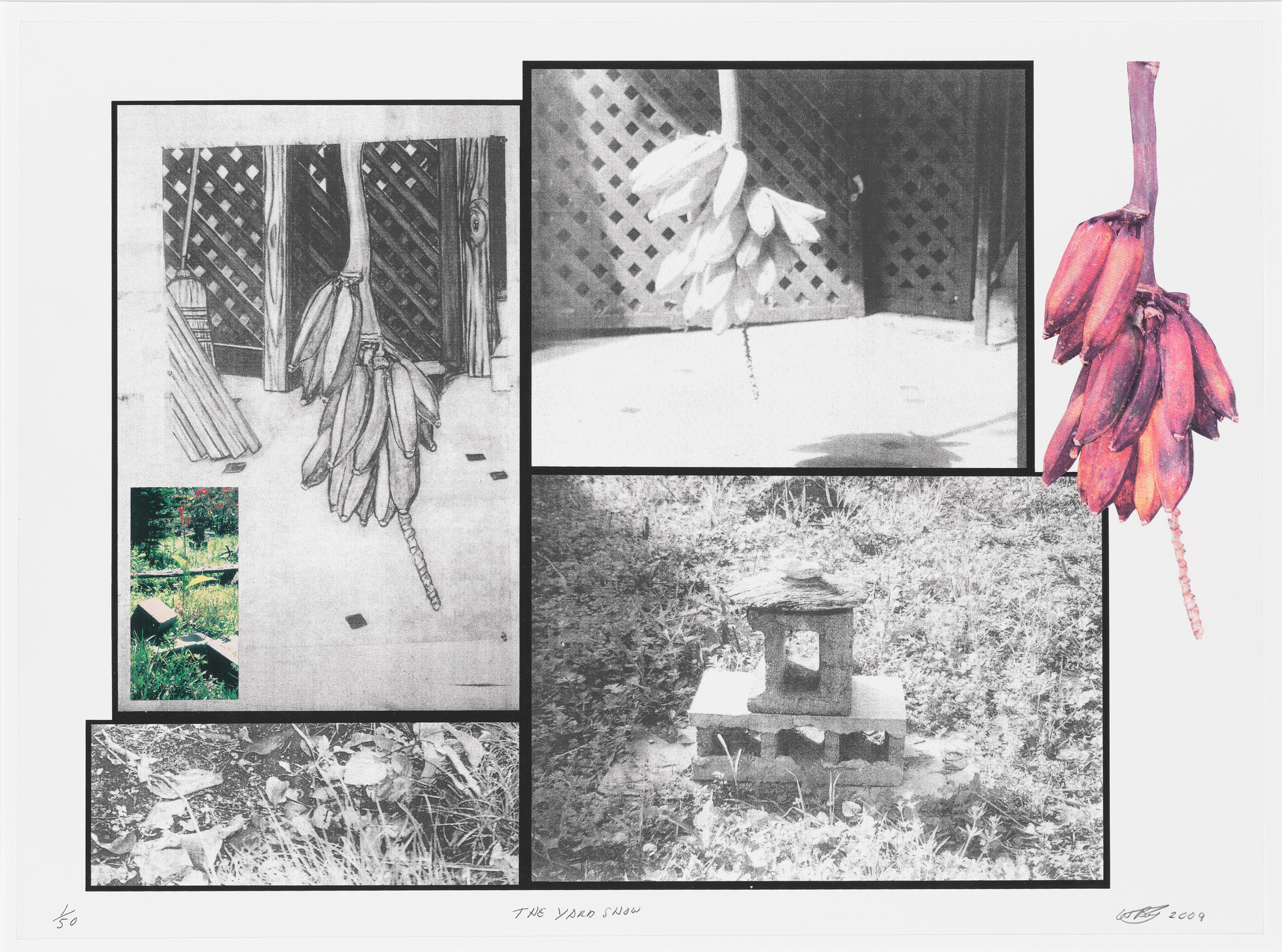 A collage of black and white images with a central color drawing of a banana bunch hanging against a lattice background. The surrounding photos include a close-up of a banana bunch, a garden lantern, and underbrush. The artwork is titled "The Yard Show" and is numbered and signed by the artist, dated 2009.