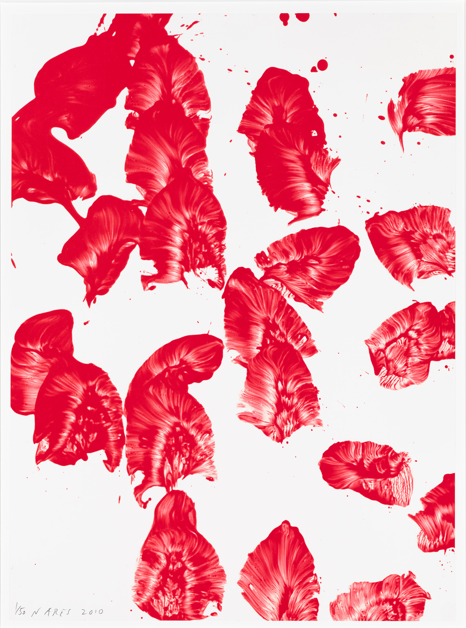 Bright red paint petals scattered across a white background in loose, brushlike shapes.