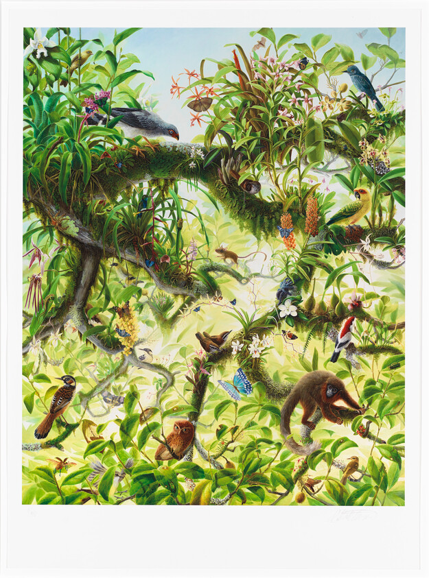 Lush rainforest canopy with diverse birds, butterflies, and a small monkey reaching for fruit.
