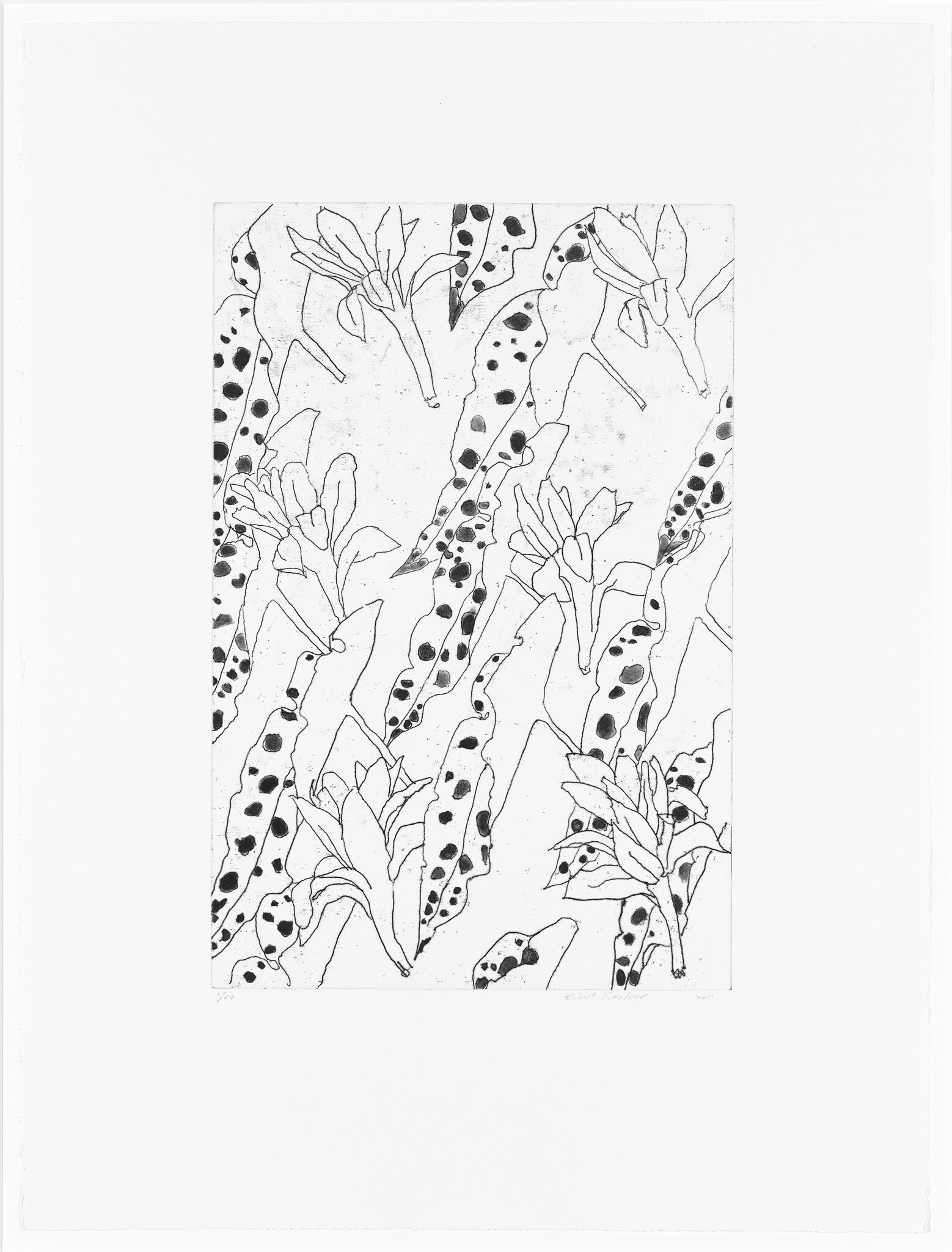 Repeated spotted seed pods and blooming flowers form a vertical, hand-drawn botanical pattern.