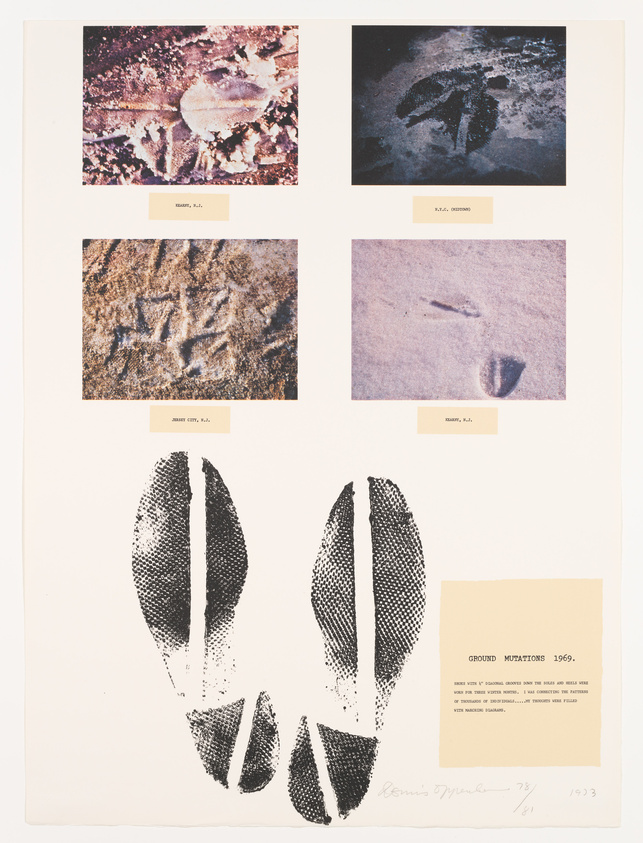 This image displays a collection of six photographs and prints arranged in a 2x3 grid on a beige background. The top row shows three photographs of natural textures: the left is labeled "EARTH, N.M.," depicting a cracked earth surface; the center is labeled "SALT, UTAH," showing a close-up of a salt formation; and the right is labeled "EARTH, N.J.," featuring a footprint in the sand. The bottom row has two large black-and-white prints of seed pod impressions on the left, and on the right, there is a tan-colored informational card titled "GROUND MUTATIONS 1969." The card explains the artwork was made with "9 mechanical screens and 3 hand cuts used over four types of surfaces." Below the card, the artist's signature and the date "78" are visible, along with the edition number "1/1 1993."