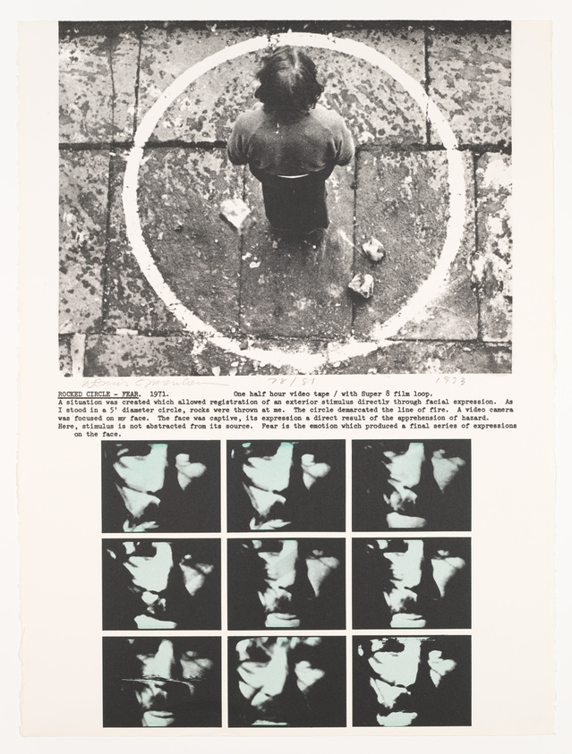 A person is seen from behind, standing inside a large painted circle on a cracked and textured surface. Above, a series of black and white images capture various facial expressions, with text describing an art piece involving the registration of exterior stimuli through facial expressions, focusing on the emotion of fear.