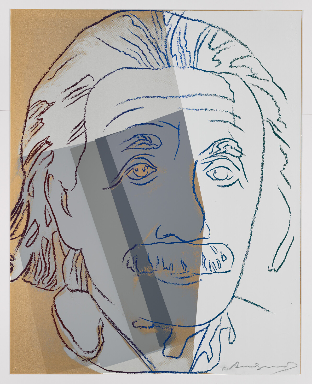 Illustration of a fragmented portrait of Albert Einstein with overlapping geometric shapes and lines in various shades of blue and gray, set against a beige background.