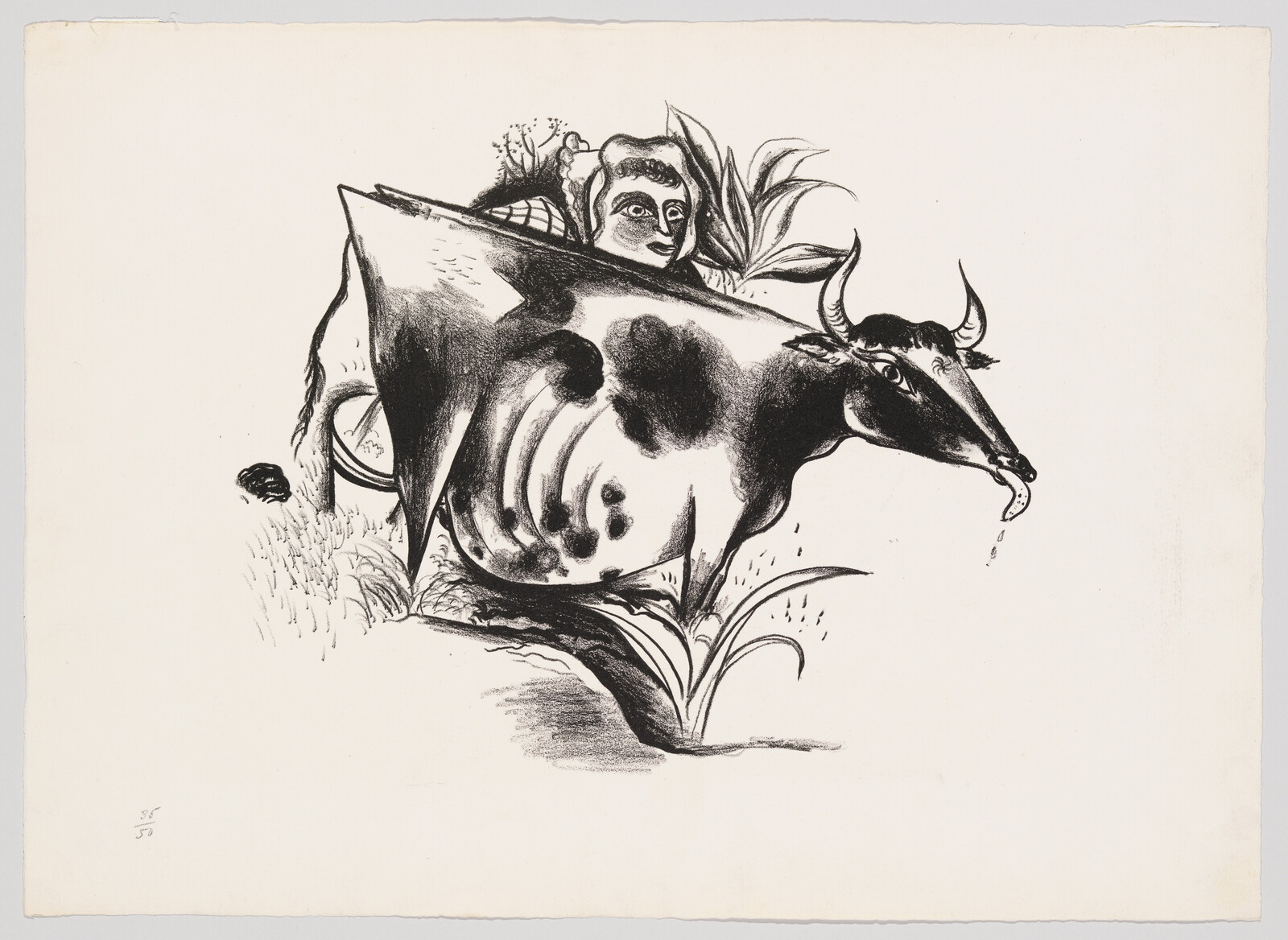 A spotted cow with a drooping tongue and a woman's head peeking from behind its back.