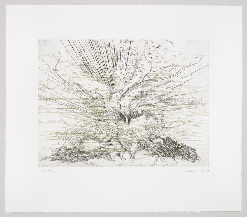 A detailed black and white etching depicting an abstract explosion of lines and shapes that resemble a burst of energy or organic growth. The central area is dense with intricate patterns, and the lines extend outward in a dynamic, almost chaotic manner. The artwork is signed and dated in the bottom right corner, with a series number on the bottom left, all on a white background.